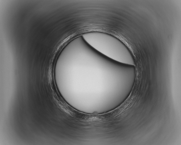 X0000116420390200912081204