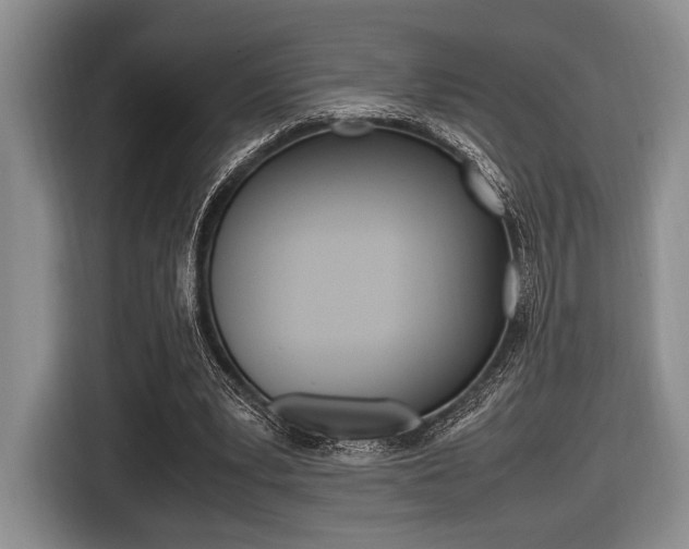 X0000116420391200912081204