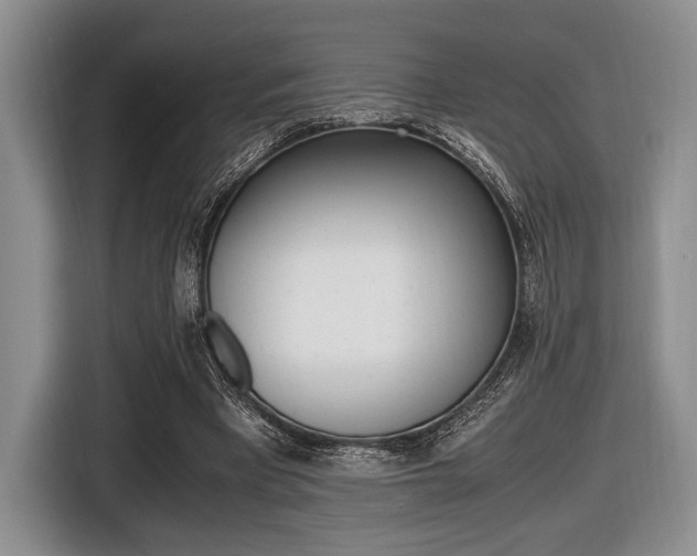X0000116420393200912081204