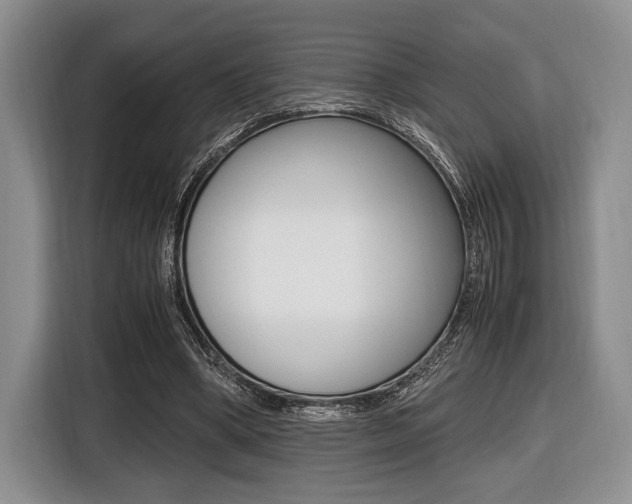 X0000116420394200912081204