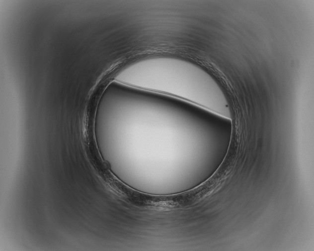 X0000116420396200912081204