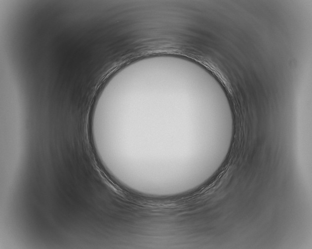 X0000116420397200912081204