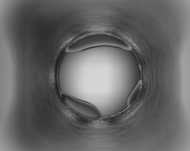X0000116420399200912081204
