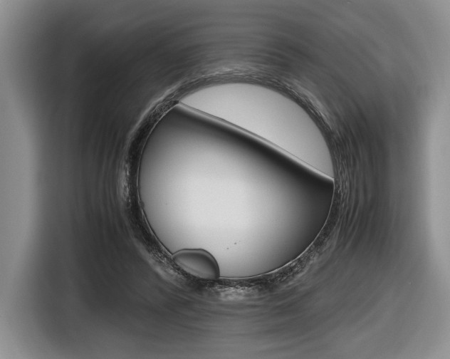 X0000116420400200912081204