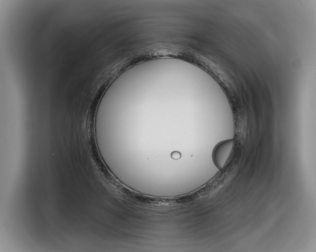 X0000116420402200912081204