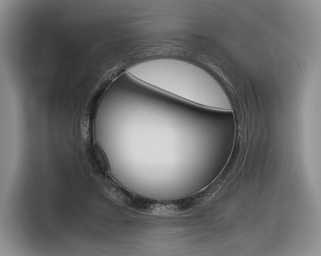 X0000116420403200912081204
