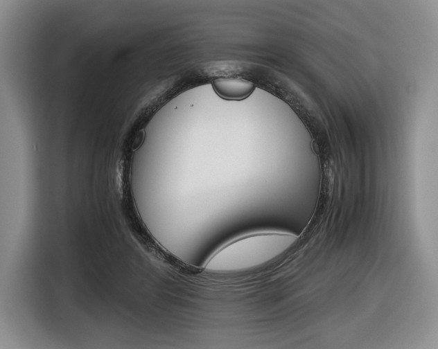 X0000116420404200912081204