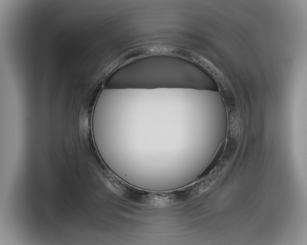 X0000116420405200912081204