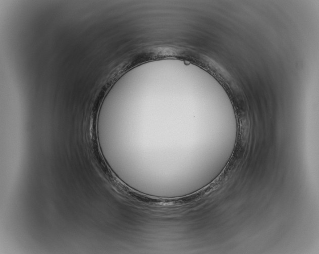 X0000116420406200912081204