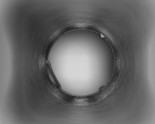 X0000116420407200912081204