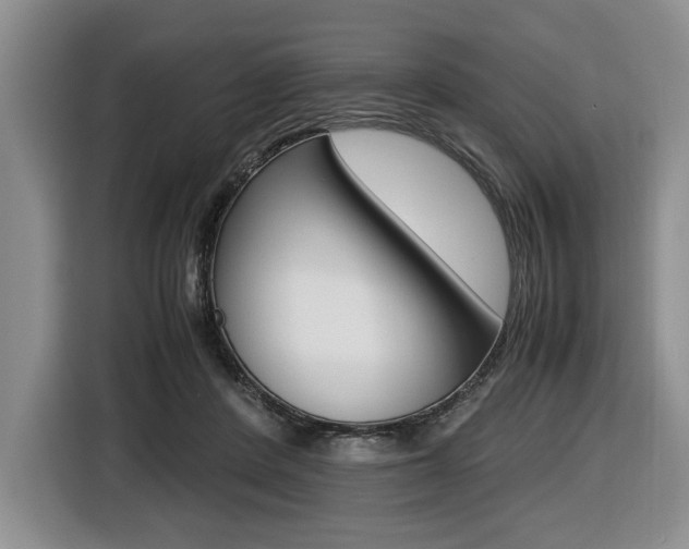 X0000116420408200912081204