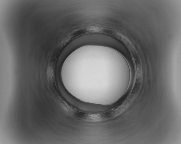 X0000116420409200912081204