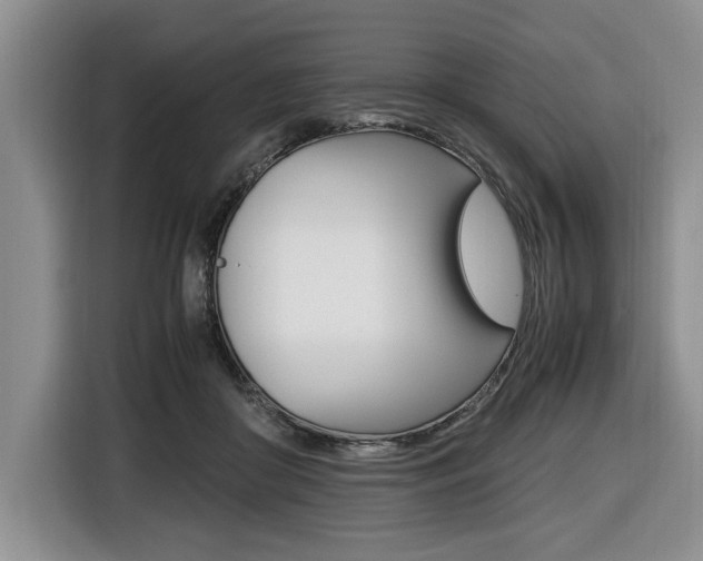 X0000116420410200912081204