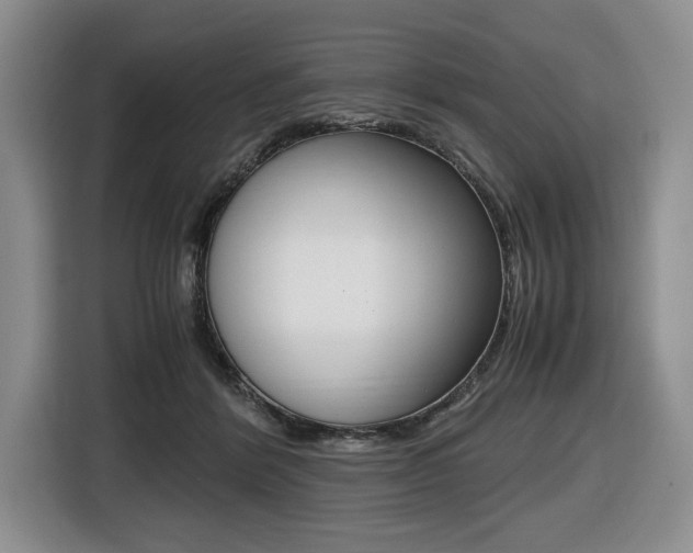 X0000116420412200912081204