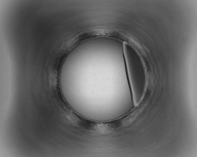 X0000116420413200912081204