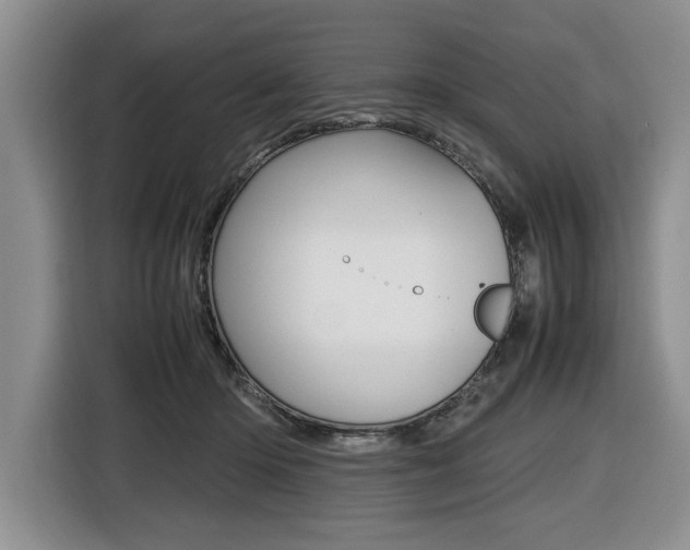 X0000116420414200912081204