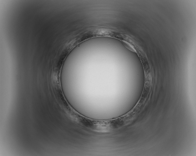 X0000116420415200912081204