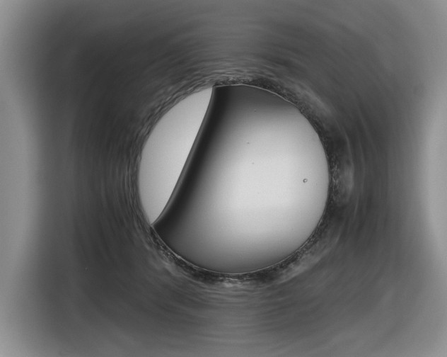 X0000116420416200912081204