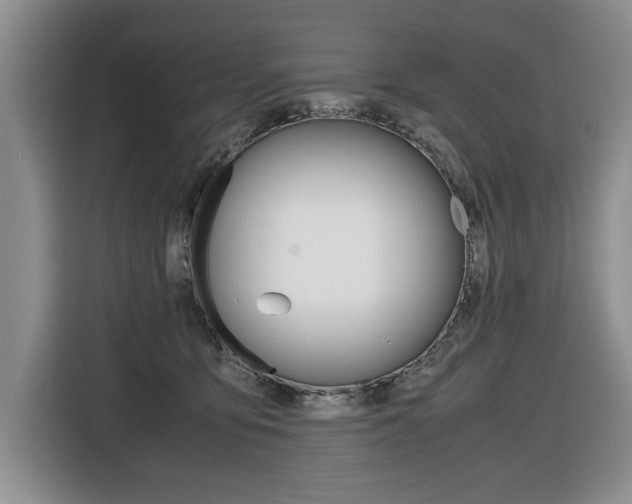 X0000116420419200912081204