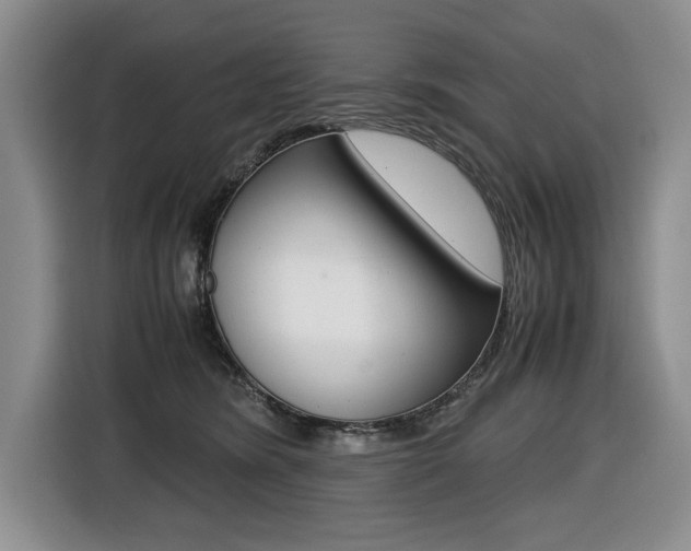 X0000116420420200912081204
