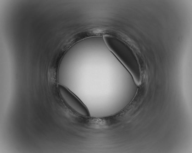X0000116420421200912081204