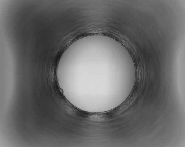 X0000116420422200912081204