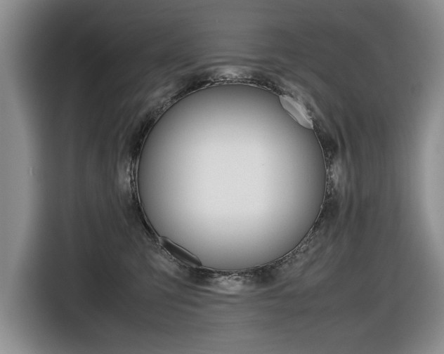 X0000116420423200912081204