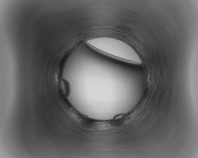 X0000116420424200912081204