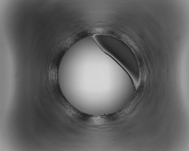 X0000116420425200912081204