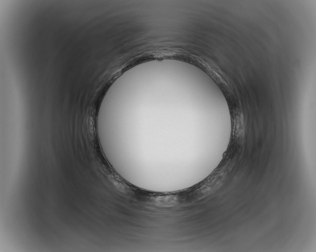 X0000116420426200912081204