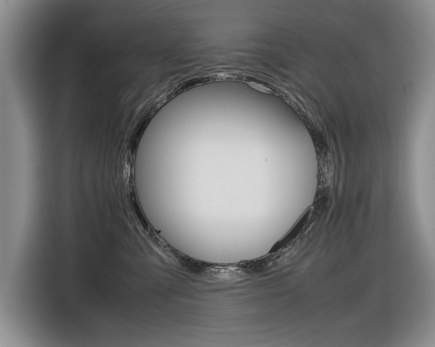 X0000116420427200912081204