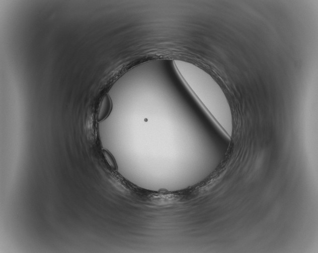 X0000116420428200912081204