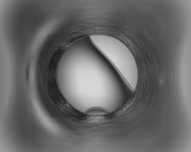 X0000116420429200912081204