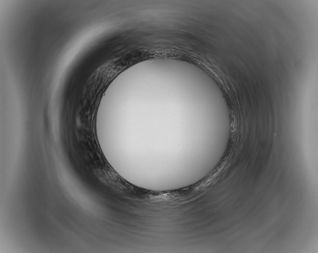 X0000116420430200912081204