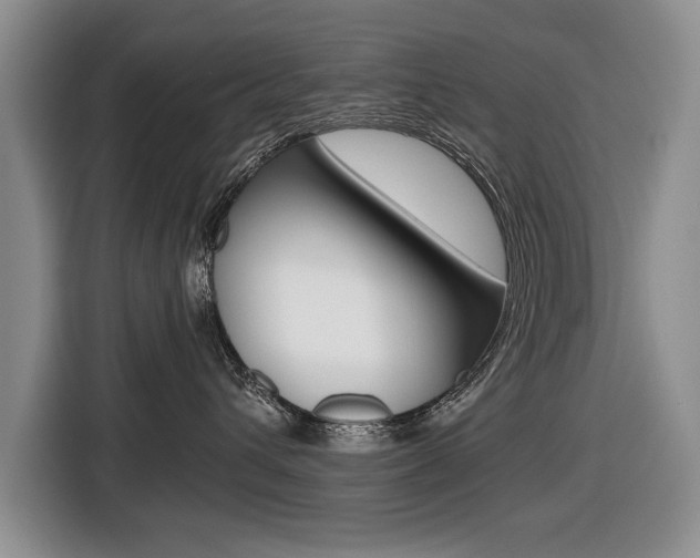 X0000116420432200912081204