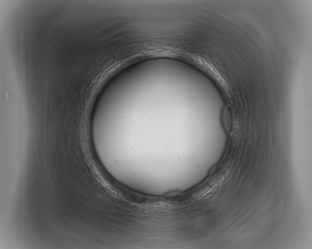 X0000116420433200912081203