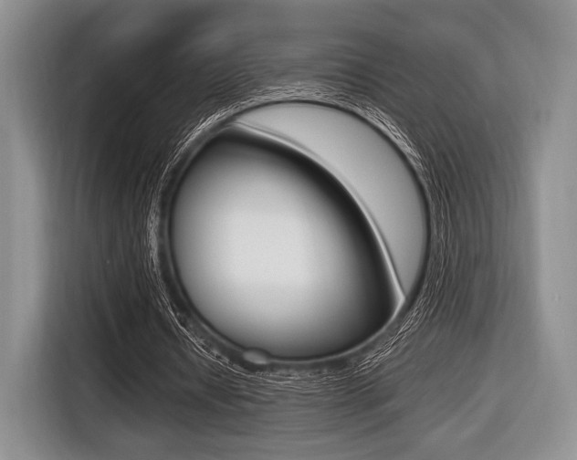 X0000116420434200912081203