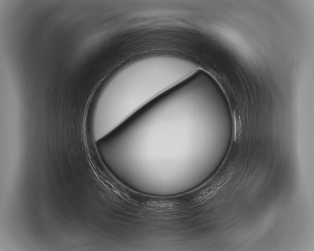 X0000116420435200912081203