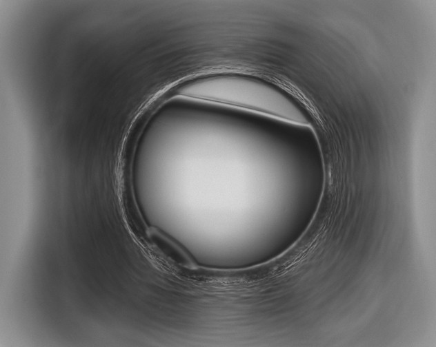 X0000116420436200912081203
