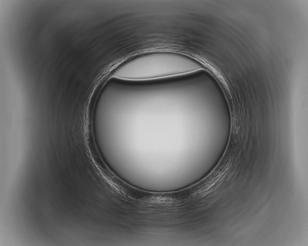 X0000116420437200912081203