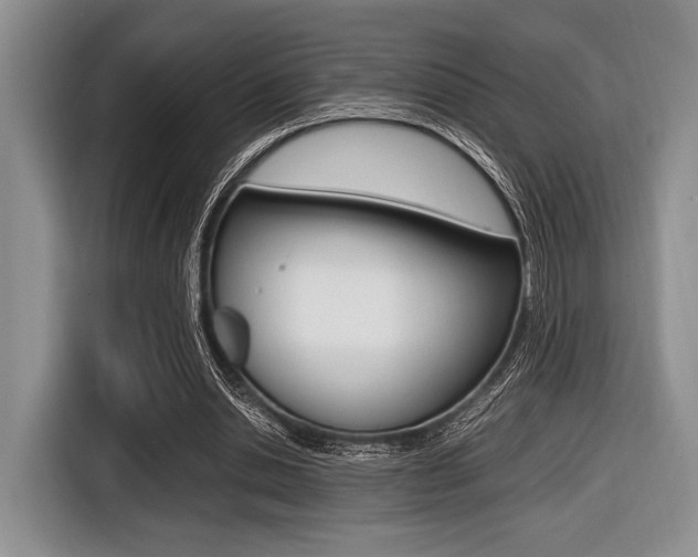 X0000116420438200912081203