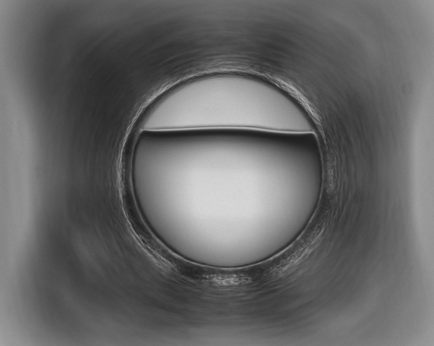 X0000116420439200912081203