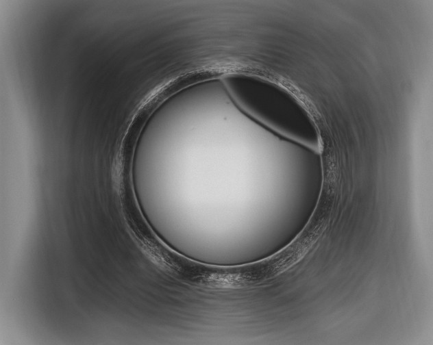 X0000116420440200912081203