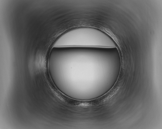 X0000116420441200912081203