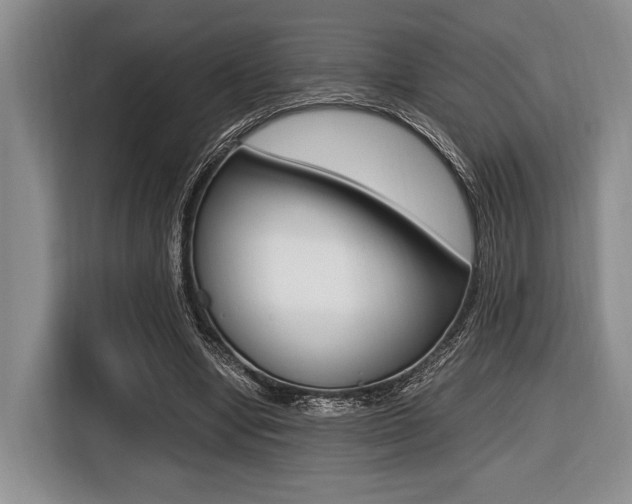 X0000116420442200912081203