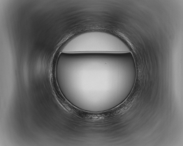 X0000116420443200912081203