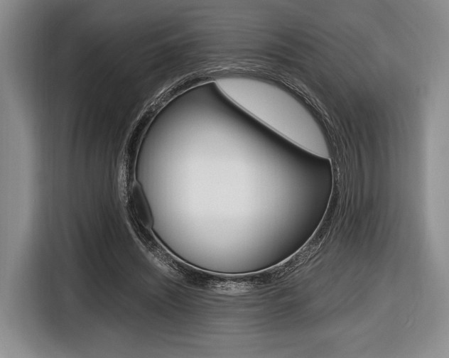 X0000116420444200912081203