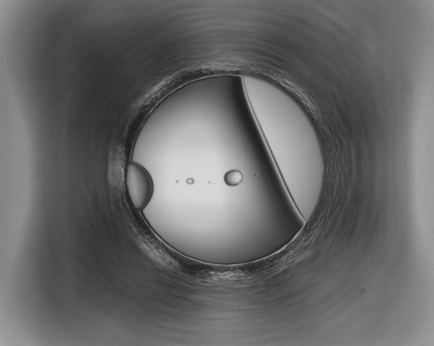X0000116420446200912081203
