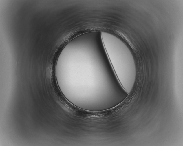 X0000116420447200912081203