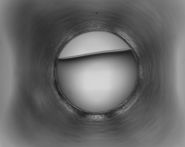 X0000116420449200912081203